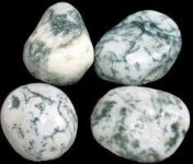 Tree Agate.jpg