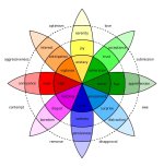 color-chart1.jpg