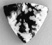 Black and White Agate.jpg