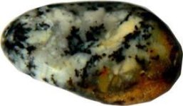 Dendritic Agate.jpg