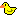 :borladuck: